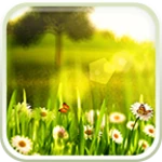 Logo of Spring Live Wallpaper android Application 